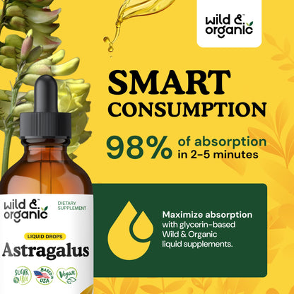 Wild & Organic Astragalus Root Extract Drops - Immune Support - Liquid Astragalus Supplement - Add to Tea & Mix with Powder - Membranaceus Herb - Vegan, Sugar & Alcohol-Free Tincture - 4 fl oz