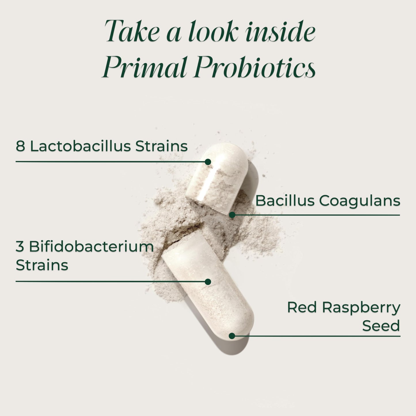 Primal Harvest Probiotic - Daily Supplement, Gluten, Dairy & Soy Free, Vegan