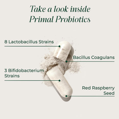 Primal Harvest Probiotic - Daily Supplement, Gluten, Dairy & Soy Free, Vegan