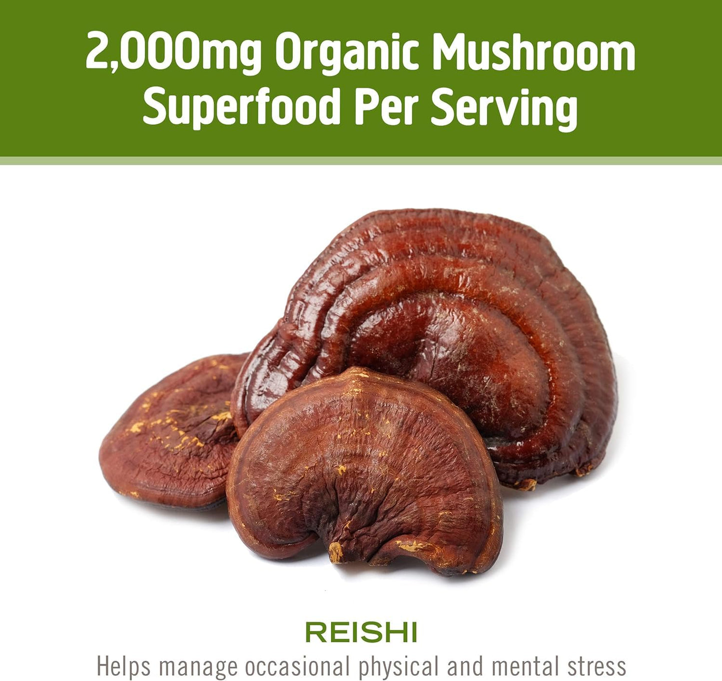 Om Mushroom Superfood Reishi Organic Mushroom Powder, 100 Servings, Organic Adaptogen Powder for Stress Relief and Immune Health