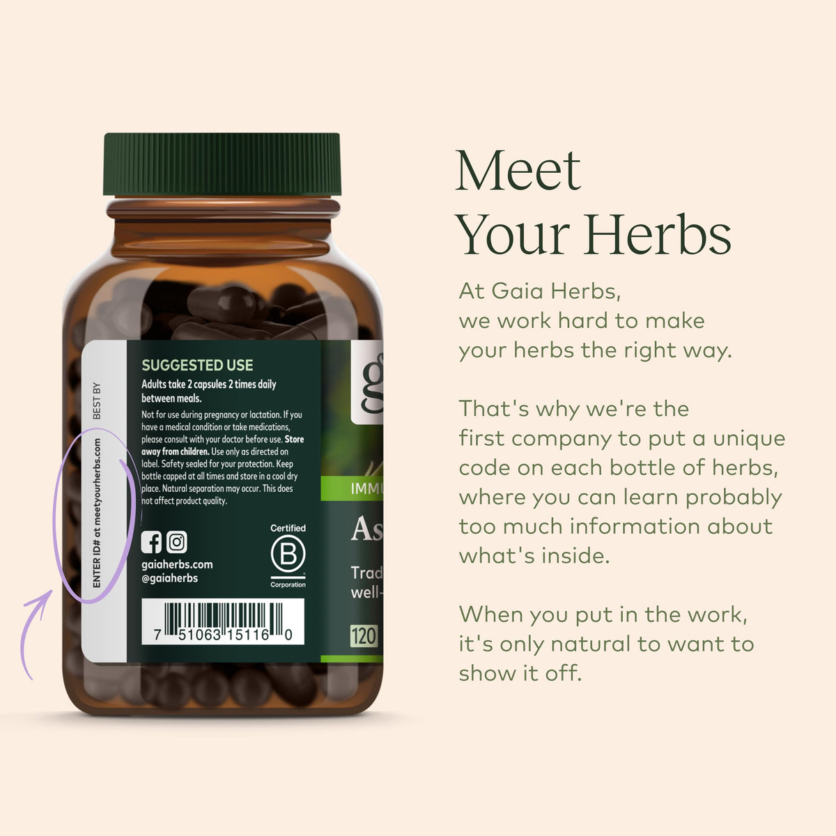 Gaia Herbs Astragalus Supreme - Immune and Antioxidant Support Herbal Supplement