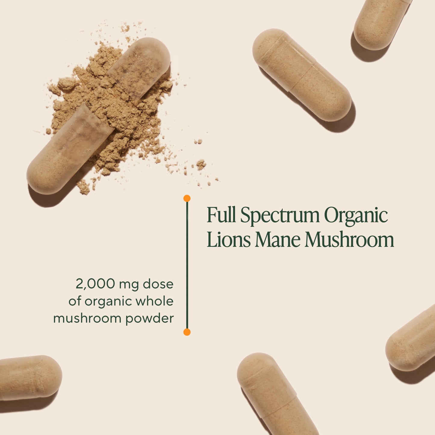 Om Lion’s Mane Mushroom Capsules - Organic Mushroom Supplement and Nootropic - Brain Supplements for Memory and Focus, 180 Count (60 Servings)