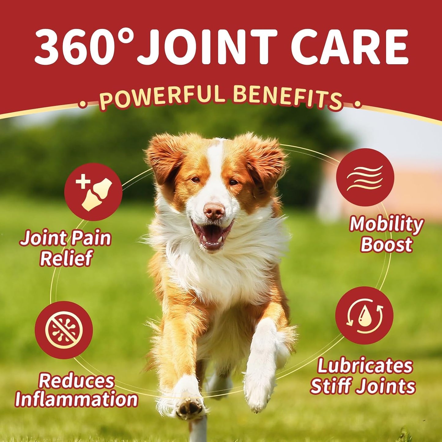 NATURE TARGET Glucosamine for Dogs, 120 Soft Chews, Chicken Flavor | Joint Supplement with Chondroitin, MSM, Omega-3,Hemp for Pain Relief, Hip & Joint Chews for Dogs with Calcium for Bone Health