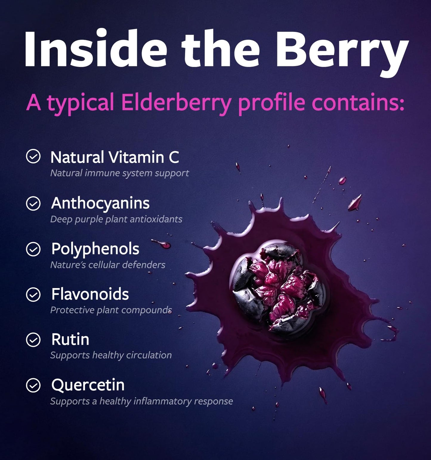 PURE CO Organic Elderberry 10:1 Extract 500mg Per 1 Capsule Serving - Vegan Black Elderberry Supplement for Immune Support, Allergy, Sinus Relief - Sambucus Nigra - 30 Caps