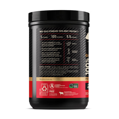Optimum Nutrition Gold Standard Whey Protein, Double Rich Chocolate, 2 LB