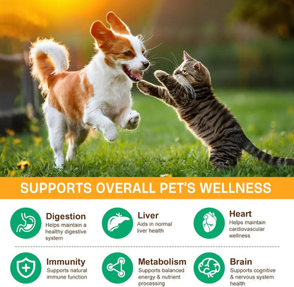 Mushroom Supplement Powder for Dogs & Cats, 11 Beneficial Mushroom Complex for Immune Support, Cellular Protection, Heart & Brain Health Lion's Mane, Reishi & Turkey Tail, Bacon Flavor - 120g