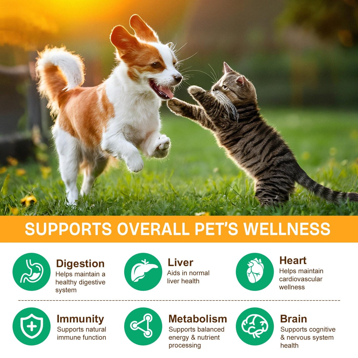 Mushroom Supplement Powder for Dogs & Cats, 11 Beneficial Mushroom Complex for Immune Support, Cellular Protection, Heart & Brain Health Lion's Mane, Reishi & Turkey Tail, Bacon Flavor - 120g