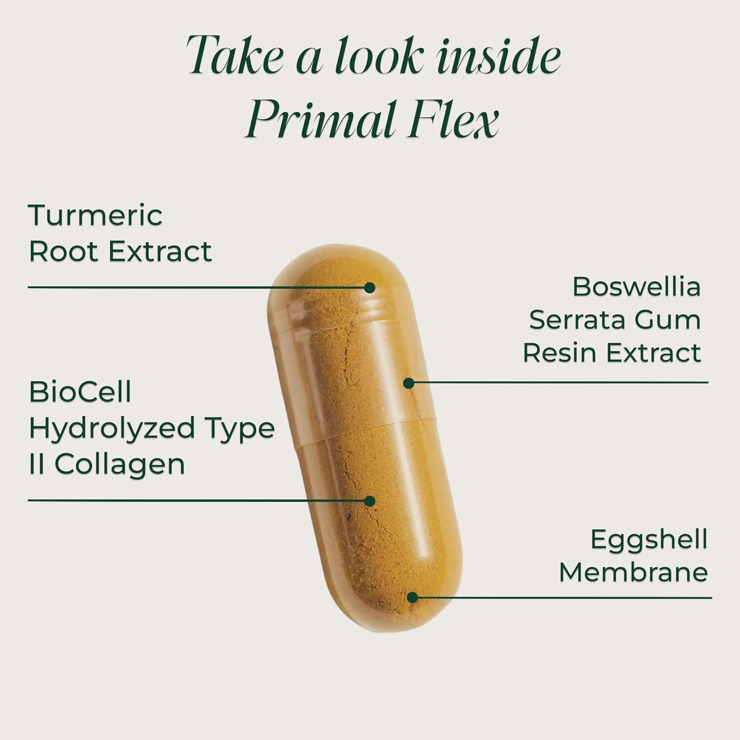 Primal Harvest Flex - Daily Supplement, Gluten & Dairy Free