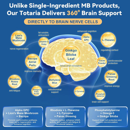USP Methylene Blue Pharmaceutical Grade, Vitamin C Ester, Bacopa, Phosphatidylserine, Omega-3 Fatty Acids - 13 in 1 Upgrade Patented Brain Formula - Memory, Focus, Clarity, Cognitive, 120 Count