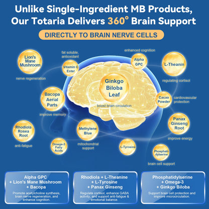USP Methylene Blue Pharmaceutical Grade, Vitamin C Ester, Bacopa, Phosphatidylserine, Omega-3 Fatty Acids - 13 in 1 Upgrade Patented Brain Formula - Memory, Focus, Clarity, Cognitive, 120 Count