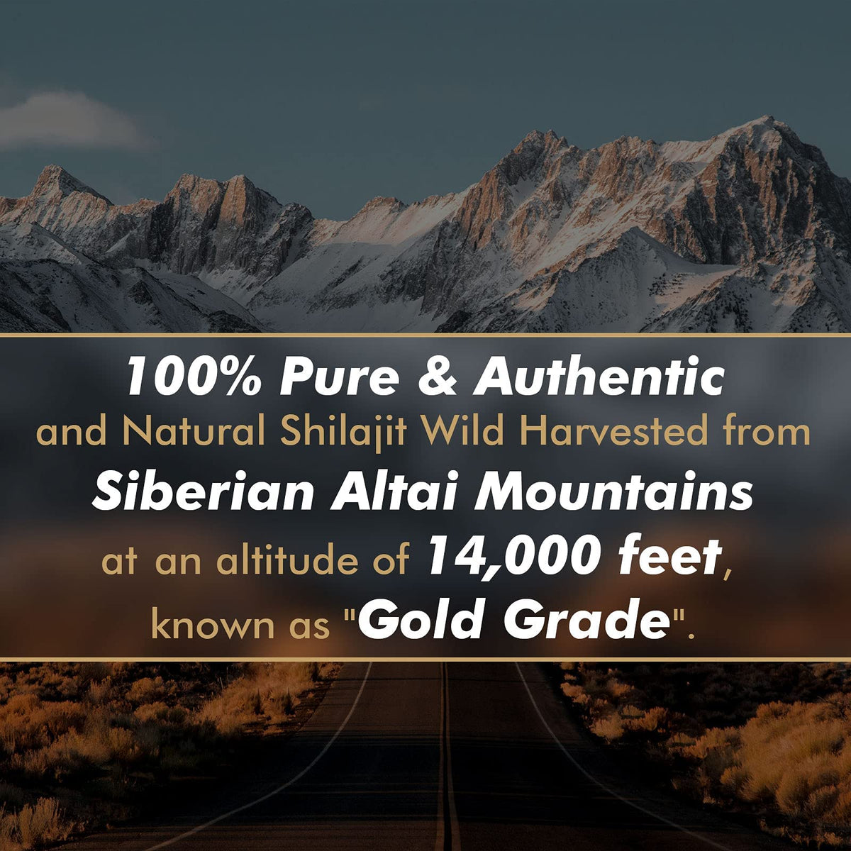 Shilajit Resin with Fulvic Acid & Trace Minerals, Original Siberian Pure Shilajit with 85+ Humic