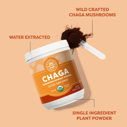 Vimergy Chaga Capsules – Superfood Cellular Support* – Cardiovascular Health Benefits* – Kosher, Vegan, Gluten-Free – 90 Capsules