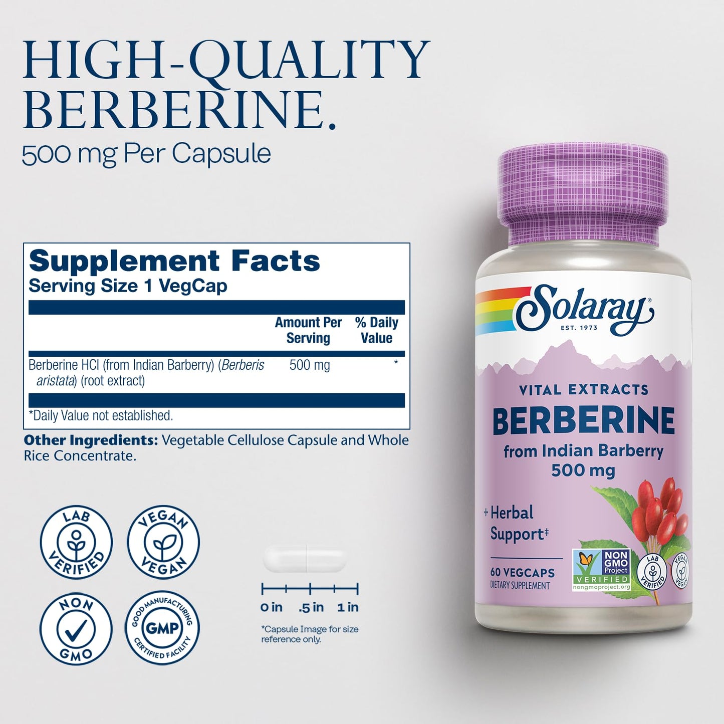 SOLARAY Berberine 500mg - Berberine Supplement for a Healthy, Active Lifestyle - with Berberine HCl from Indian Barberry - Vegan, Non-GMO, 60-Day Guarantee, Lab Verified - 100 Servings, 100 VegCaps
