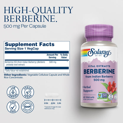 SOLARAY Berberine 500mg - Berberine Supplement for a Healthy, Active Lifestyle - with Berberine HCl from Indian Barberry - Vegan, Non-GMO, 60-Day Guarantee, Lab Verified - 100 Servings, 100 VegCaps