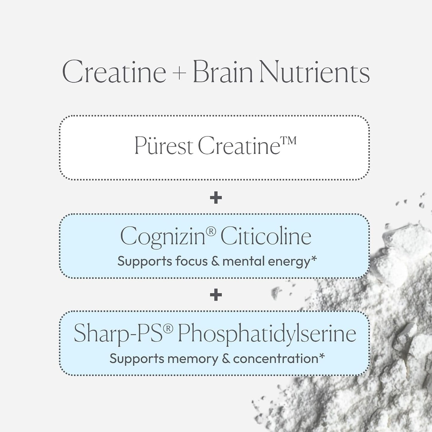 Papillex Creatine Well – Clean Creatine Powder for Brain Energy & Muscle Tone with Cognizin & Sharp•PS