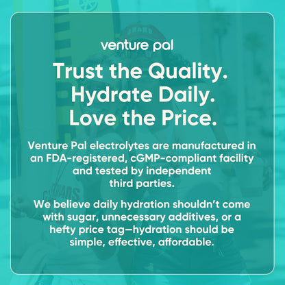 Venture Pal Sugar Free Electrolyte Powder, Liquid Daily IV Hydration Packet | 7 Electrolytes & 5 Vitamins, Electrolytes Dink Mix for Party Recovery & Instantly Hydration, Vegan, Keto-Friendly, 16 Sticks