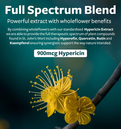 St John's Wort Capsules - Powerful & Potent Saint John's Wort Extract & Whole Herb Complex Standardized to 900mcg Hypericin for Balancing Daily Mood Support - Vegan Non-GMO & Lab Verified (120 Caps)