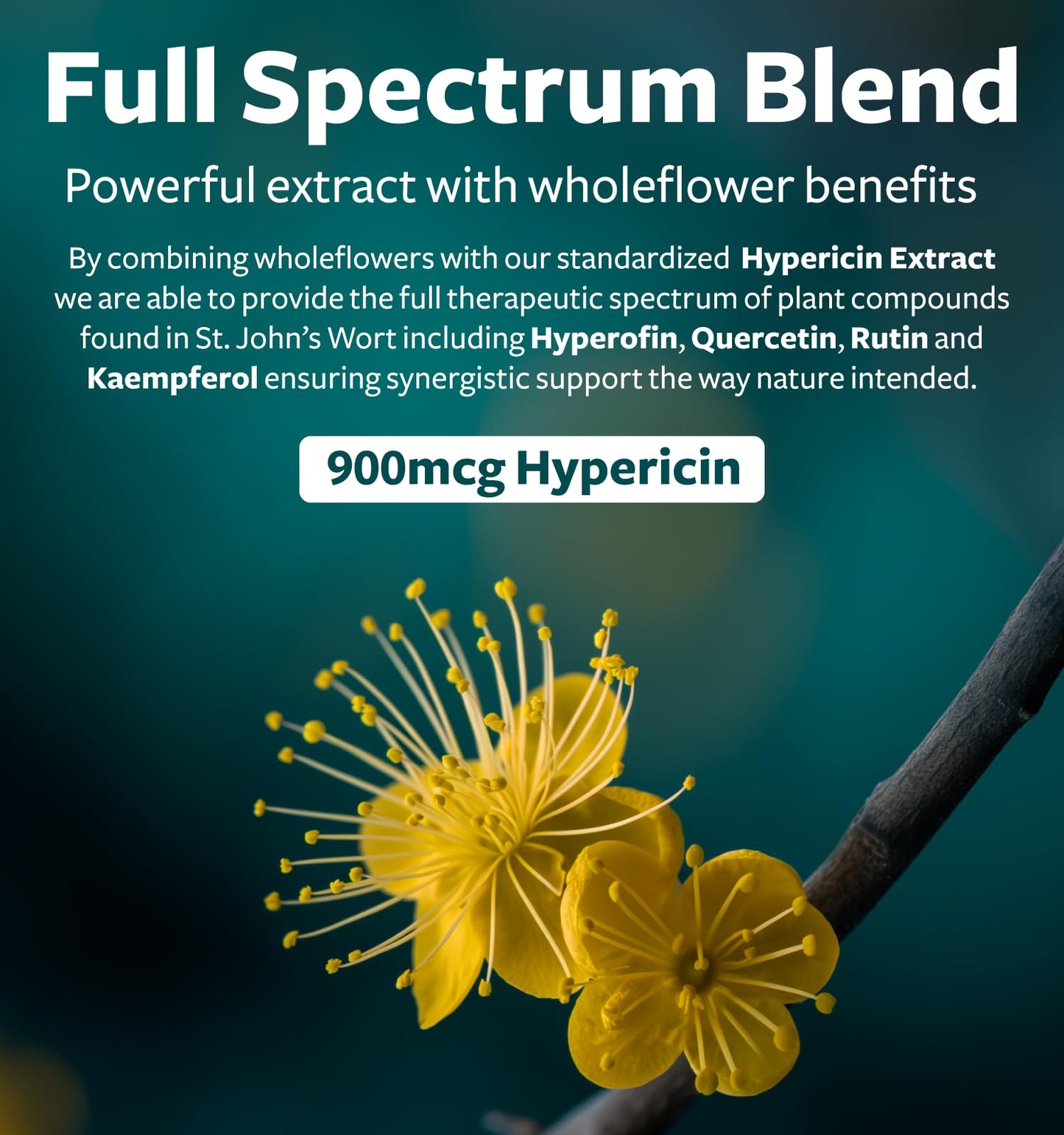 St John's Wort Capsules - Powerful & Potent Saint John's Wort Extract & Whole Herb Complex Standardized to 900mcg Hypericin for Balancing Daily Mood Support - Vegan Non-GMO & Lab Verified (120 Caps)