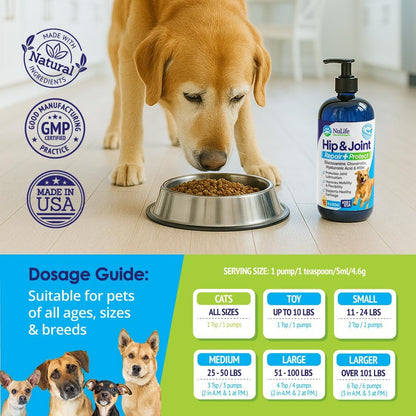 Liquid Glucosamine for Dogs - Advanced Joint Supplement for Dogs Ages with Chondroitin, MSM & Hyaluronic Acid - Repairs & Protects Joints, Supports Mobility & Pain Relief - 16oz