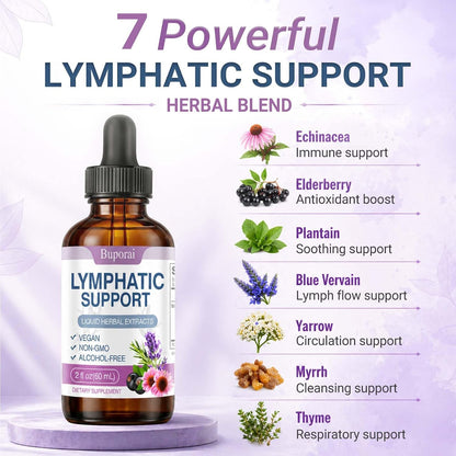 Lymphatic Support Drops Liquid –Lymph Drainage for Women & Men, Herbal Blend with Echinacea, Elderberry & Thyme, Alcohol-Free Glycerin Extract, Immune & Detox Support, 2 fl oz (60 Servings) (1)