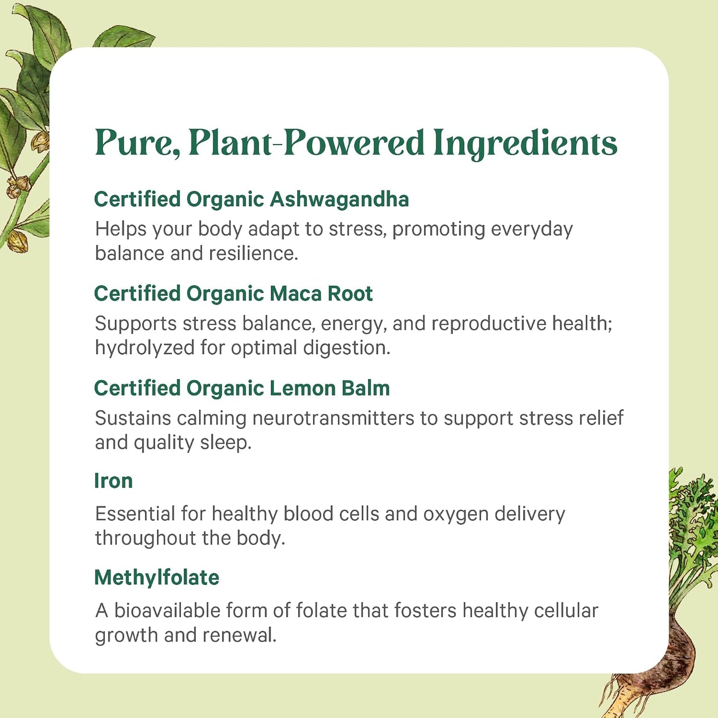 PURE SYNERGY Vita·Min·Balance | Multivitamin for Women with Iron | Women’s Daily Multivitamin Made with Organic Whole Foods | for Balanced Energy and Stress Support (60 Tablets)