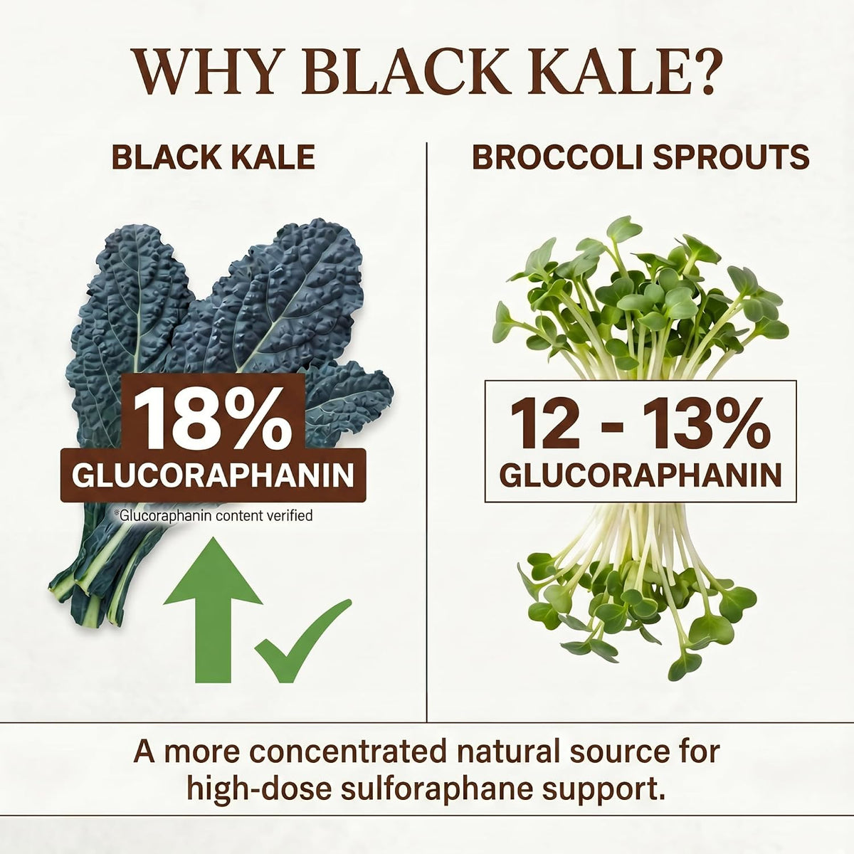 Utzy Naturals SulforaKale | 50 mg Sulforaphane | Nrf2 Support | 60 Caps