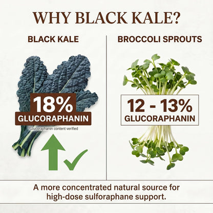Utzy Naturals SulforaKale | 50 mg Sulforaphane | Nrf2 Support | 60 Caps