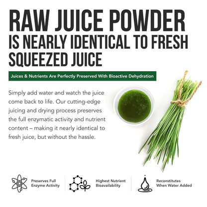 Organic Wheatgrass Juice Powder - Organic, Grown in Volcanic Soil of Utah - Raw BioActive Form, Cold-Pressed Then CO2 Dried, 20:1 Concentrate Juice Extract - Unflavored (5.3 oz – 60 Servings)