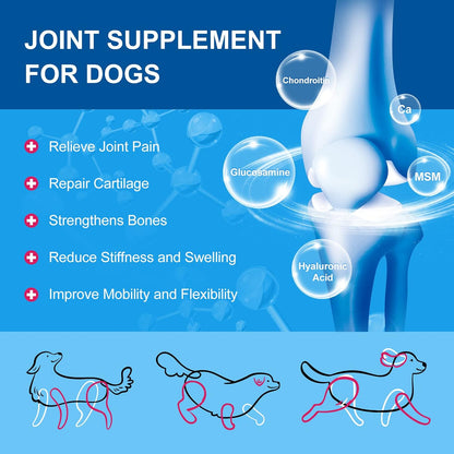 NATURE TARGET Dog Vitamins Powder, Probiotics & Digestive Enzymes for Gut Health, Glucosamine & Chondroitin & Omega 3, Complete Supplement for Homemade Dog Food, Joint & Skin & Immune Support | Probiotics & Digestive Enzymes for Gut Health, Glucosamine &
