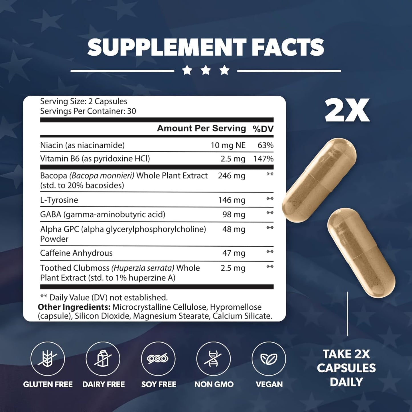 Brain Formula | Brain Health Supplements | Niacin, Vitamin B6 & GABA, Nutritional Support Mental Performance, 30 Days Supply, 60 Capsules