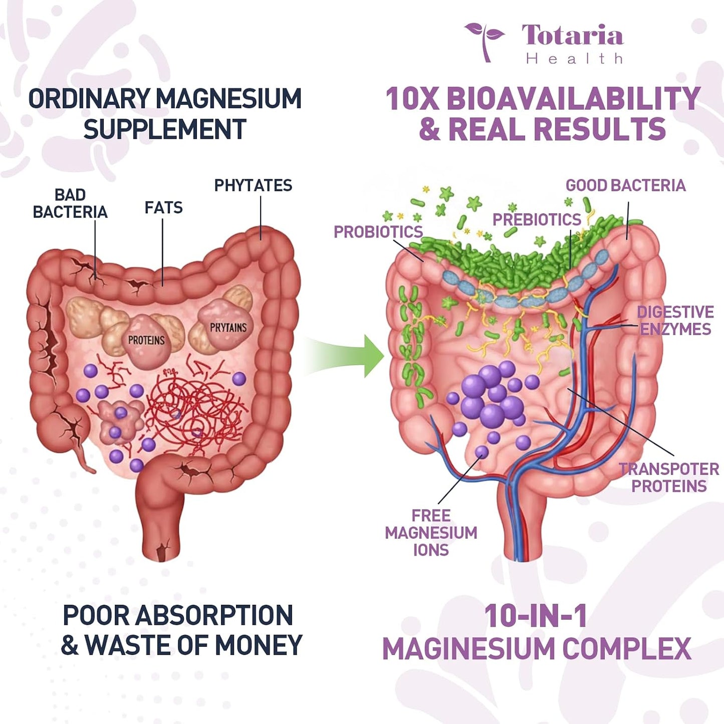 10-in-1 Magnesium Complex Supplement with Probiotics Prebiotics & Digestive Enzymes, 100 Billion CFU Probiotics for Women, High Absorption for Muscle, Sleep Calm, Gut & Digestive Health, Vegan Non-GMO