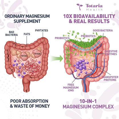 10-in-1 Magnesium Complex Supplement with Probiotics Prebiotics & Digestive Enzymes, 100 Billion CFU Probiotics for Women, High Absorption for Muscle, Sleep Calm, Gut & Digestive Health, Vegan Non-GMO