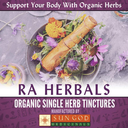 Ra Herbals Organic Red Clover Liquid Extract - Menopause Support - 1 fl oz