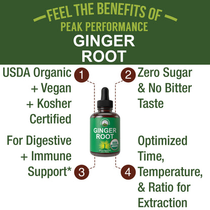 USDA Organic Ginger Root Extract Liquid Drops. Zero Sugar, Non Bitter Vegan Ginger Oil Supplement for Immune, Digestive + Gut Support. High Bioavailability, Gluten Free for Women and Men. Take Orally