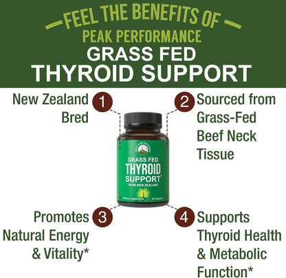 Raw Desiccated Thyroid Supplement. Grass Fed New Zealand Beef Neck & Thyroid Gland Capsules for Women and Men. Ancestral Living Ethically Sourced Bovine Supplements for Energy and Metabolism Support