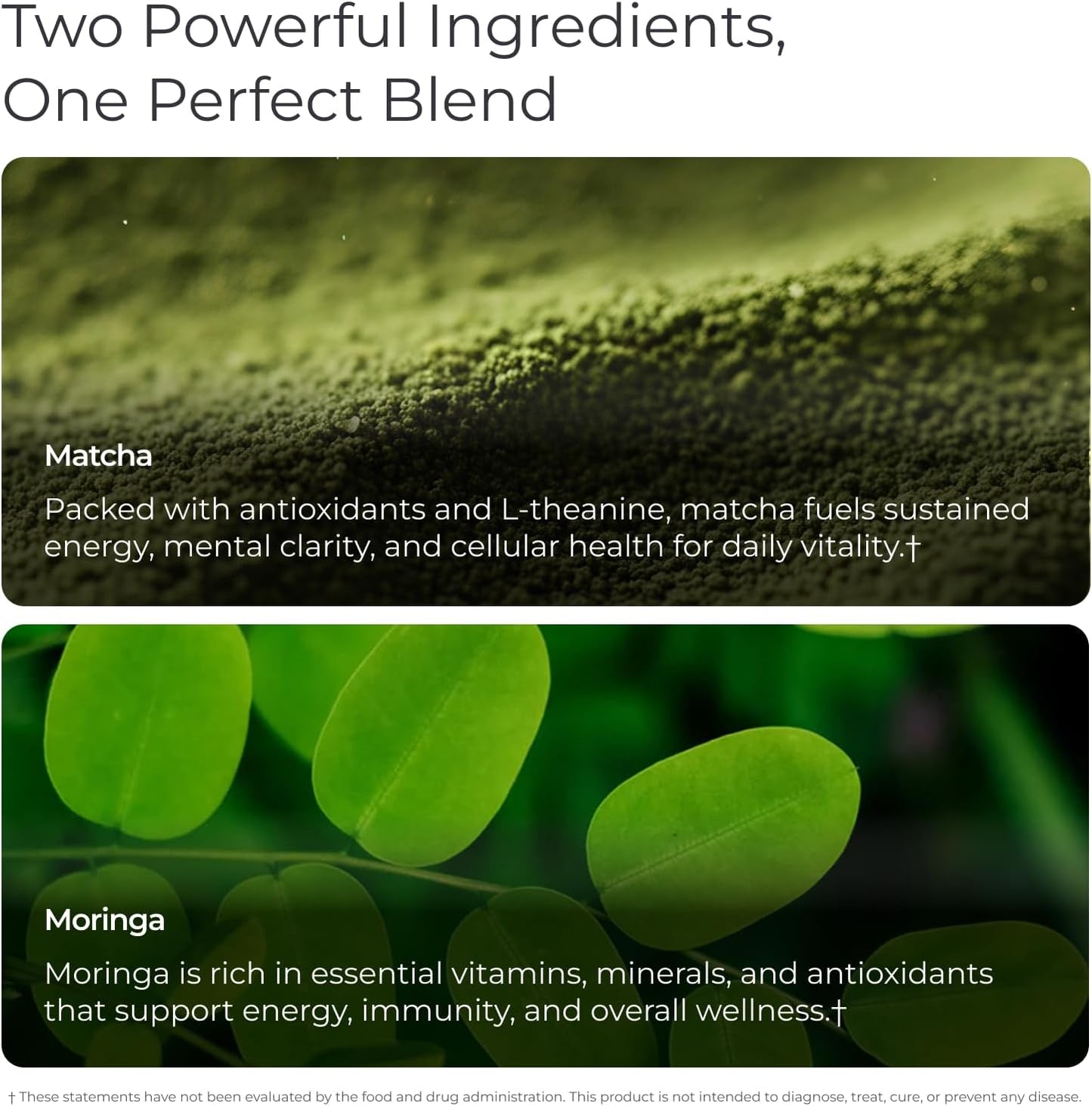 Livingood Daily Matcha + Moringa Powder, 30 Servings - 2in1 Matcha Powder and Moringa Supplement for Radiant Skin - Instant Green Tea with L Theanine - Vegan, Gluten Free, Non GMO - Made in USA