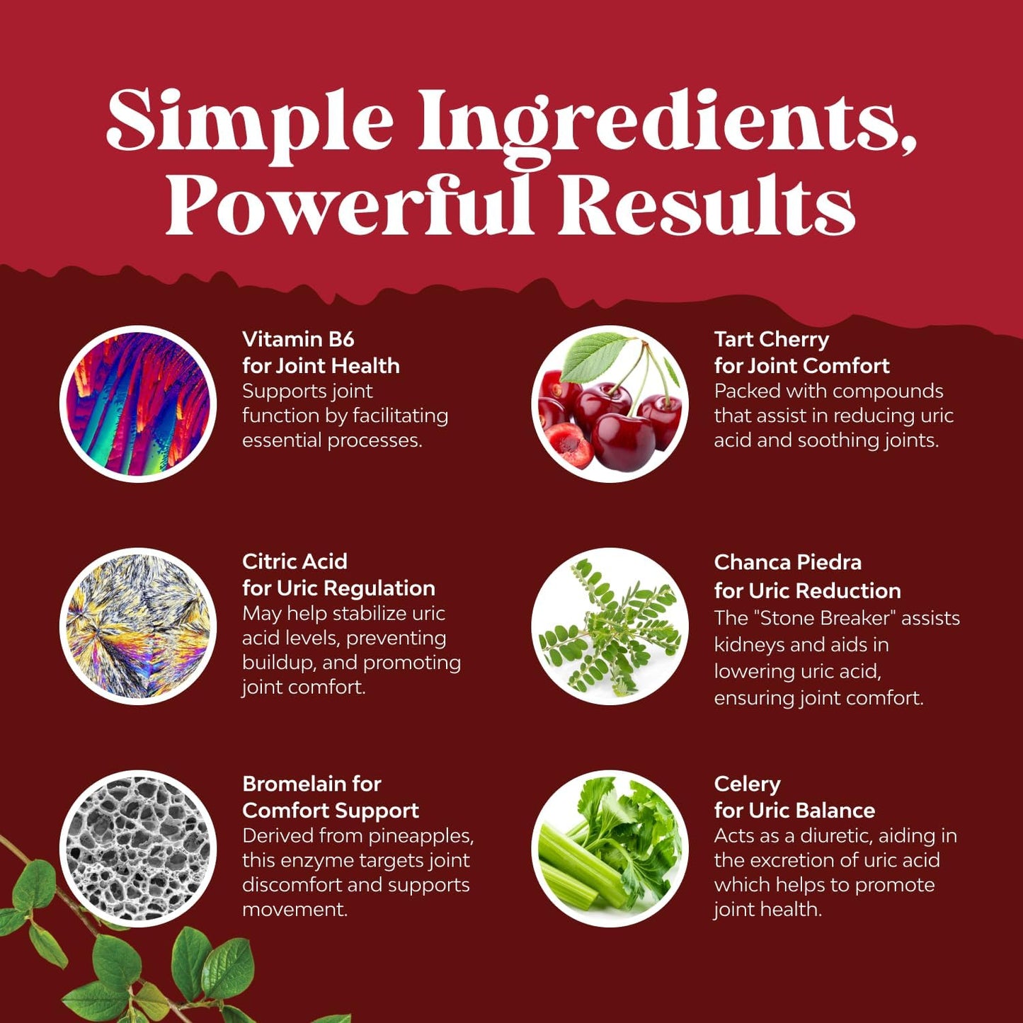 Green Coffee Bean Extract for Uric Acid Cleanse & Detox - Green Coffee Beans with Turmeric, Tart Cherry & Celery Seed for Adults - Uric Acid Flush for Antioxidant Support - Kidney Cleanser - 120 Ct