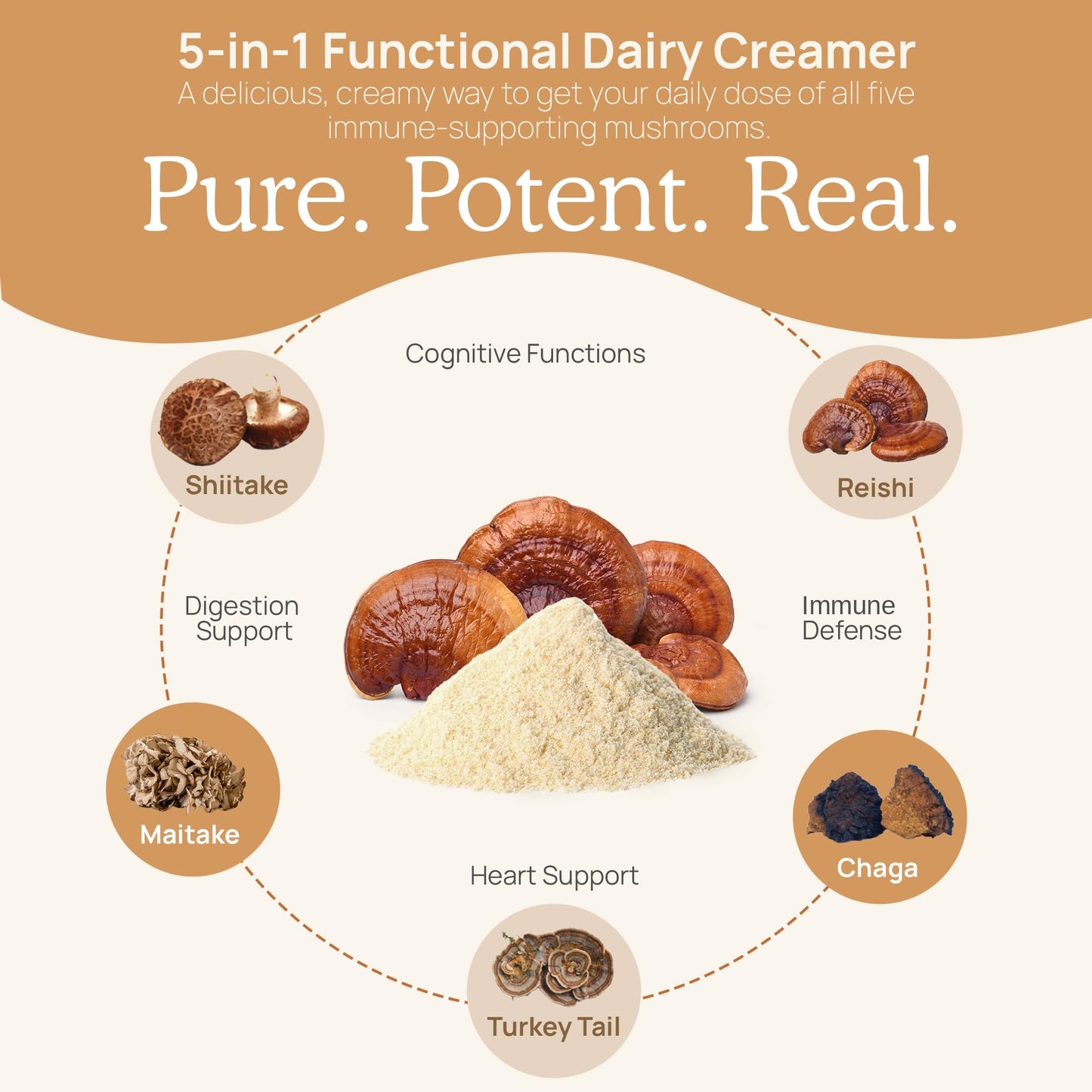 Real Mushrooms Functional Coconut Creamer with Reishi, Lucuma & Ceylon Cinnamon – Organic, Dairy-Free – Vegan Coffee Creamer for Smoothies & Drinks – 90 Servings Organic Cream Coconut Powder