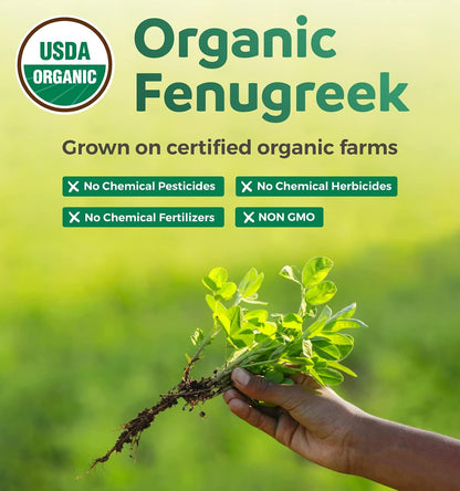 USDA Organic Fenugreek Capsules for Women - Effective Lactation Supplement for Increased Breast Milk Supply - Herbal Breastfeeding Support for Mothers - Gluten Free - 60 Vegan Capsules (No Pills)