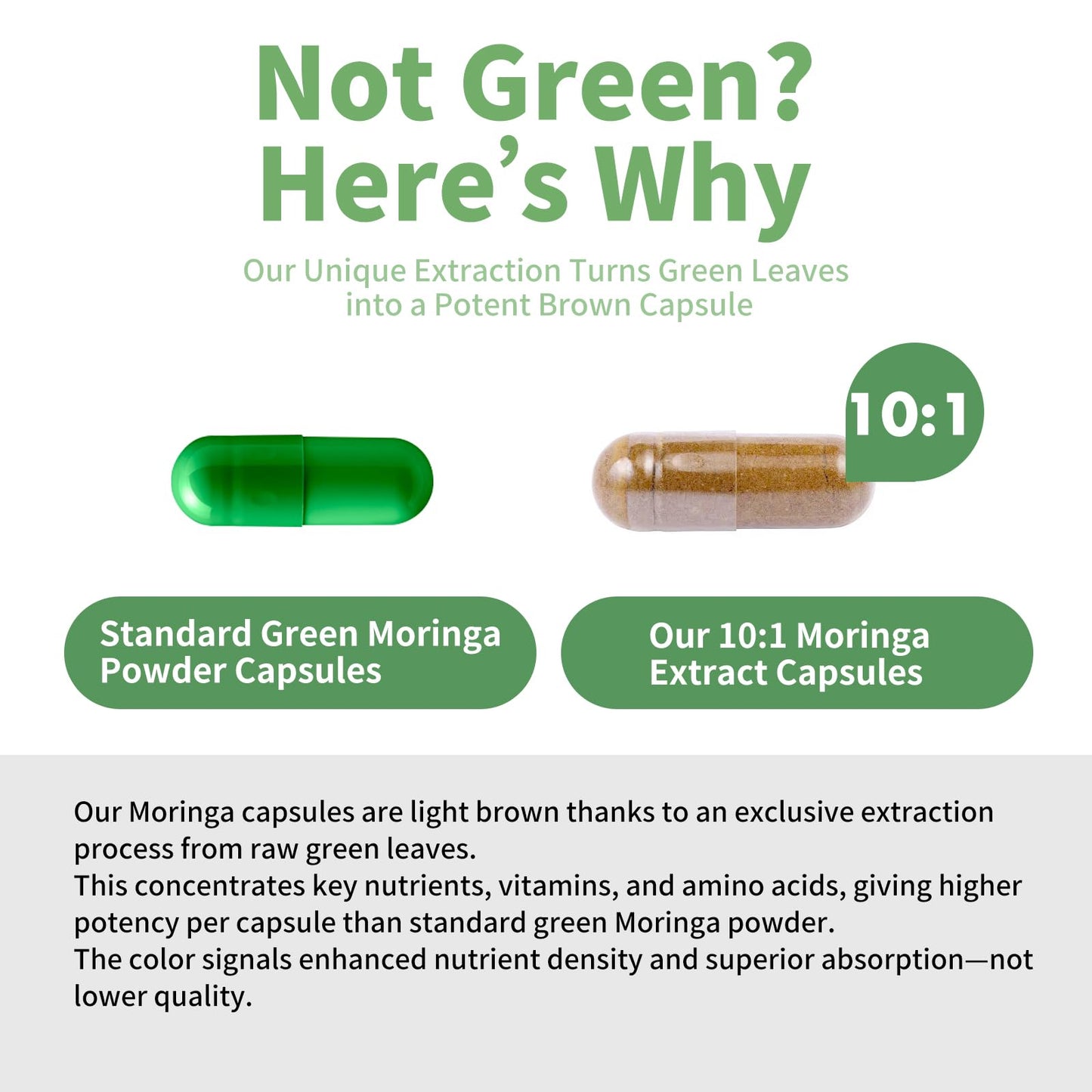 Moringa Capsules 800 mg Moringa 10:1 Extract – Vegan, Non-GMO, Gluten Free Superfood Supplement for Energy & Immune Health – 120 Capsules (1 Bottle)