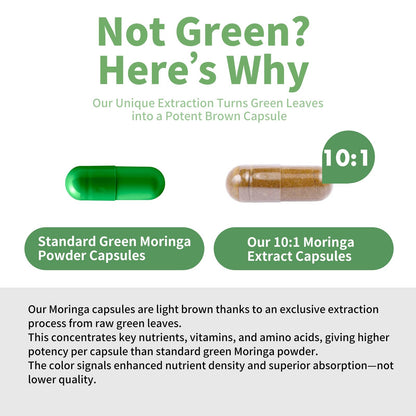 Moringa Capsules 800 mg Moringa 10:1 Extract – Vegan, Non-GMO, Gluten Free Superfood Supplement for Energy & Immune Health – 120 Capsules (1 Bottle)