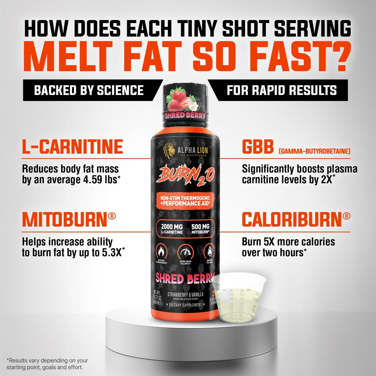 ALPHA LION Burn2O L-Carnitine Liquid 2000mg – Stim Free Super Thermogenic Fat Burner with MitoBurn® & CaloriBurn GP®, Metabolism Booster, Zero Calorie, Sugar-Free (31 Servings, Grapezilla Flavor)