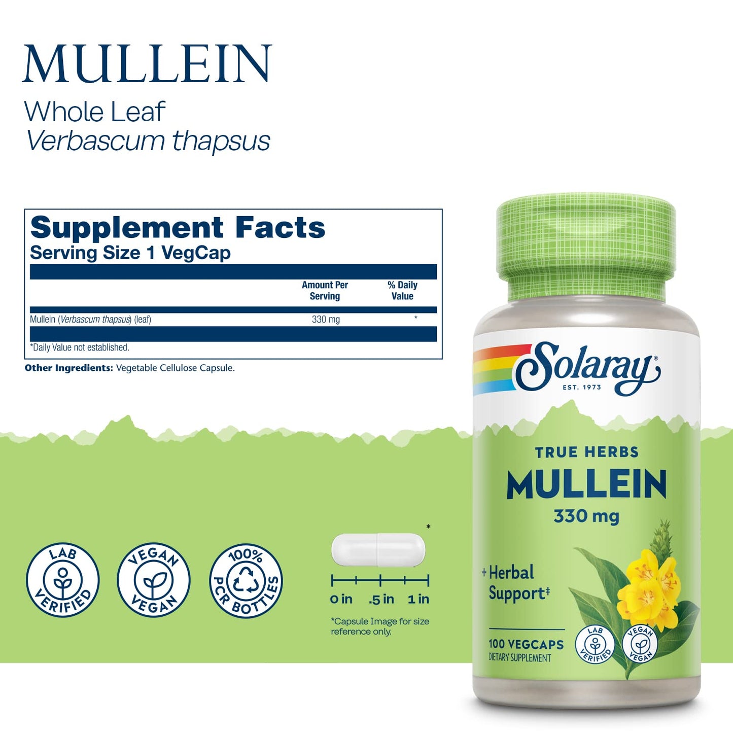 SOLARAY Mullein Leaf 330 mg - Soothing Herbal Support - Mullein Capsules Traditionally Used to Support Health and Wellness - Vegan, Non-GMO, Lab Verified, 60-Day Guarantee, 100 Servings, 100 VegCaps