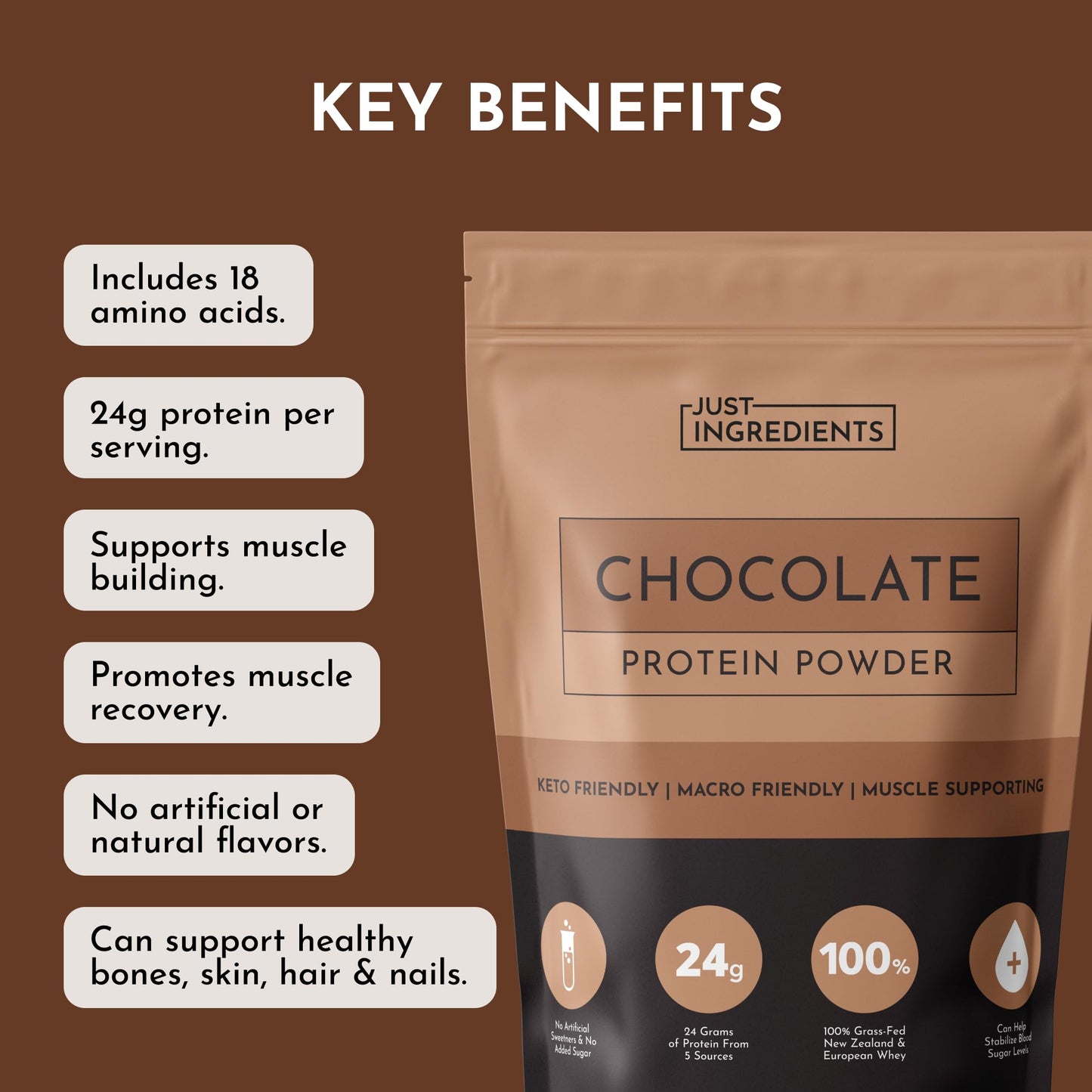 JUST INGREDIENTS Vanilla Bean Protein Powder – 20-Serving Blend with 100% Grass-Fed Whey & Organic Plant Proteins – Real Vanilla Bean & Cinnamon – Supports Muscle Recovery, Energy*