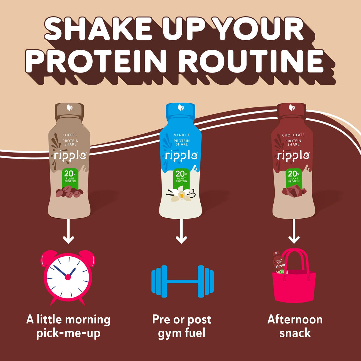Ripple Vegan Protein Shake | Chocolate | 20g Nutritious Plant Based Pea Protein | Shelf