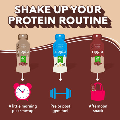 Ripple Vegan Protein Shake | Chocolate | 20g Nutritious Plant Based Pea Protein | Shelf