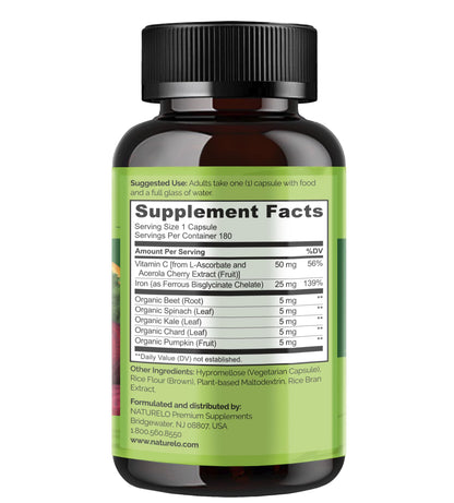 NATURELO Vegan Iron Supplement with Vitamin C and Organic Whole Foods - Gentle Iron Pills for Women & Men with Iron Deficiency Including Pregnancy, Anemia and Vegan Diets - 90 Mini Capsules