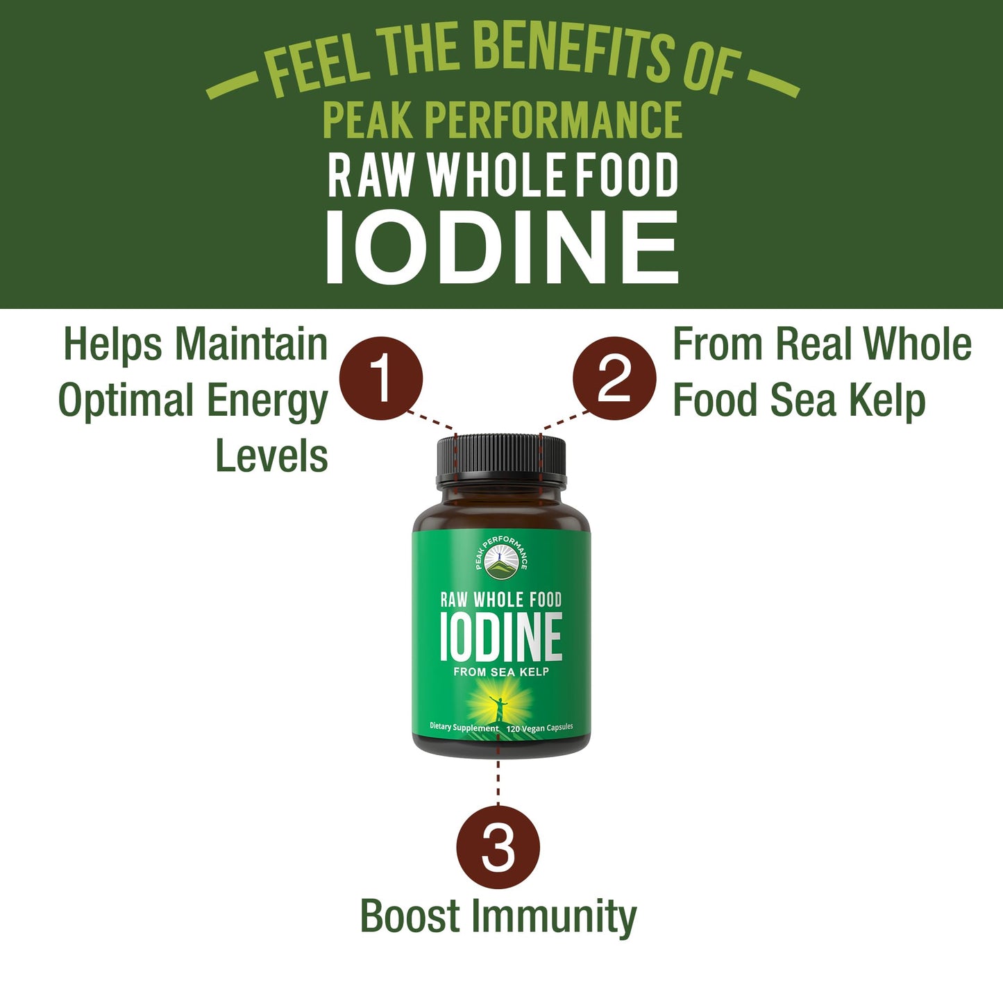 Raw Whole Food Iodine Supplement from Organic Kelp (Ascophyllum Nodosum) by Peak Performance. Potassium Iodide Support Tablets. for Metabolism, Energy, and Immune. 60 Vegan Capsules, Pills