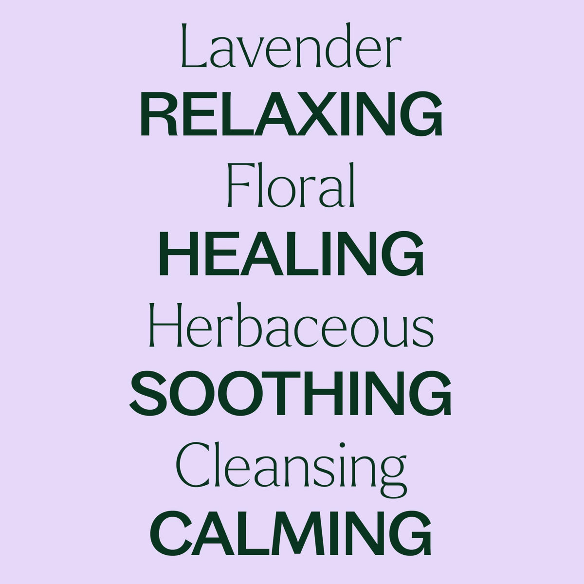 Plant Therapy Lavender Essential Oil 100% Pure, Undiluted, Therapeutic Grade, Aromatherapy Diffuser