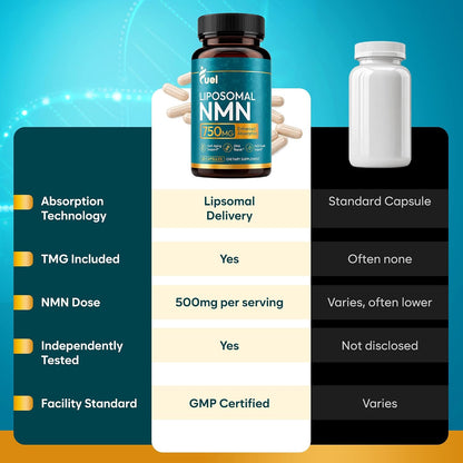 Fuel Liposomal NMN 750mg per Serving (500mg NMN + 250mg TMG) – Enhanced Absorption Nicotinamide Mononucleotide Supplement – NAD+ Support, 60 Capsules, Non-GMO, Lab Tested